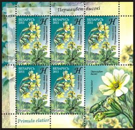 Stamp, Oxlip paigle, Belarus,  