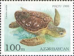 Stamp, Loggerhead (Caretta caretta), Azerbaijan,  , Reptiles, Turtles, Animals (Fauna)