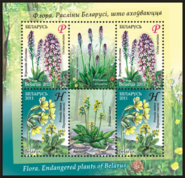 Stamp, Sheetlet, Belarus,  