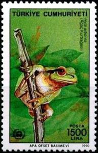 Stamp, European Tree Frog (Hyla arborea), Turkey,  , Frogs