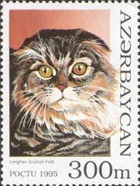 Stamp, Longhair Scottish Fold (Felis silvestris catus), Azerbaijan,  , Mammals, Cats, Animals (Fauna)