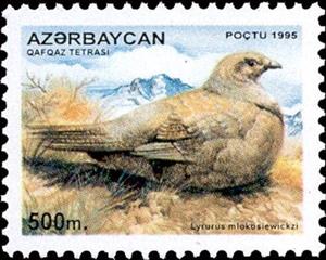Stamp, Caucasian Grouse (Lyrurus mlokosiewiczi) - Female, Azerbaijan,  , Birds, Animals (Fauna)