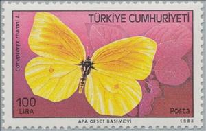 Stamp, Brimstone (Gonepteryx rhamni), Turkey,  , Insects, Butterflies