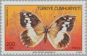 Stamp, Hermit (Chazara briseis), Turkey,  , Insects, Butterflies, Animals (Fauna)