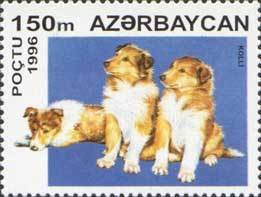 Stamp, Collie (Canis lupus familiaris), Azerbaijan,  , Dogs
