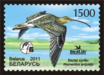 Stamp, Eurasian Curlew, Belarus,  