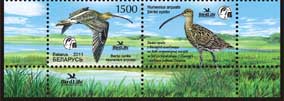 Stamp, Eurasian Curlew, Belarus,  