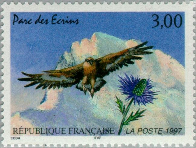 Écrins National Park: Golden Eagle (Aquila chrysaetos), Blue