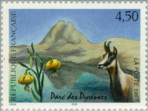Stamp, Pyrénées National Park: Pyrenean Chamois (Rupicapra rupicapr, France,  , Flowers, Mammals, Mountains, National Parks, Plants (Flora)