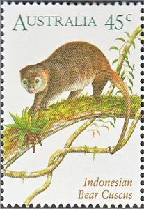 Stamp, Sulawesi Bear Cuscus (Phalanger ursinus), Australia,  , Mammals, Animals (Fauna)