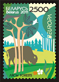 Forests