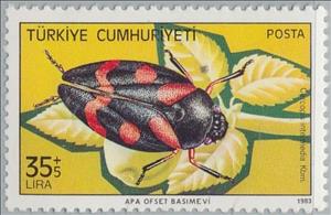 Stamp, Frog Hopper (Cercopis intermedia), Turkey,  