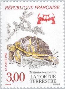 Stamp, Hermann's Tortoise (Testudo hermanni), France,  , Reptiles, Turtles, Animals (Fauna)