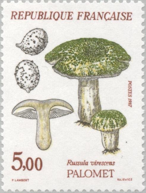 Palomet (Russula Virescens)