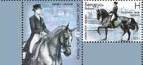 Dressage