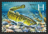 Burbot