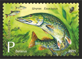 Stamp, Pike, Belarus,  