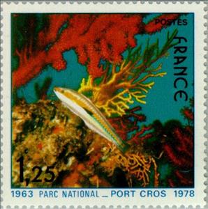 Stamp, Mediterranean Rainbow Wrasse (Coris julis), France,  , Corals and Sponges, Sea Life, National Parks, Animals (Fauna), Fishes