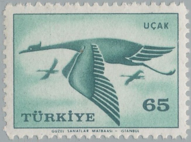 Crane (Grus sp.)