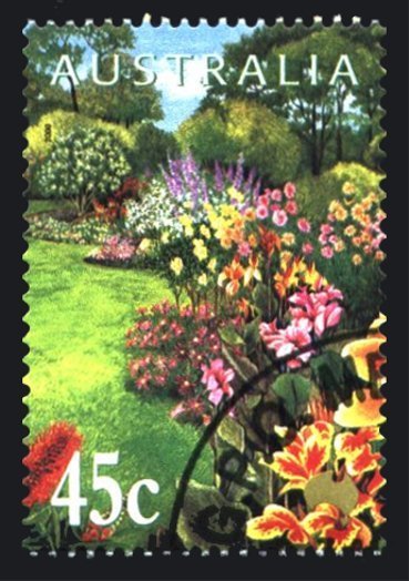 Cannas
