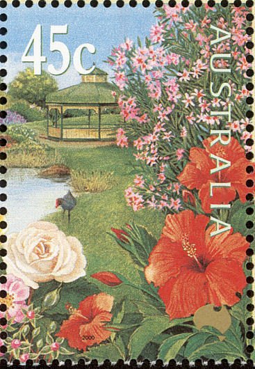 Hibiscus