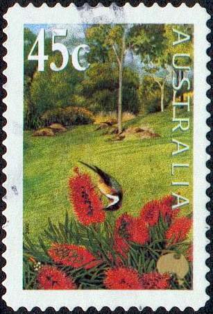 Bottlebrush