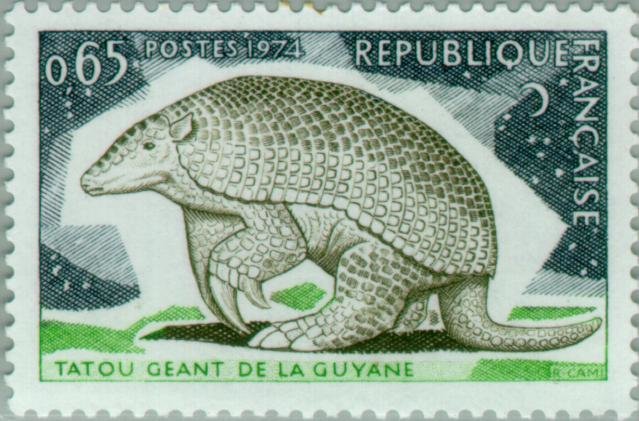 Giant Armadillo (Priodontes giganteus)