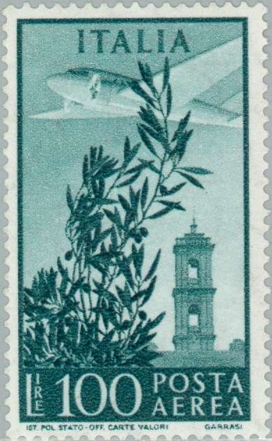 Olive tree, airplane and tower of Campidoglio