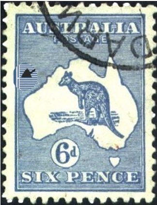 Kangaroo and map