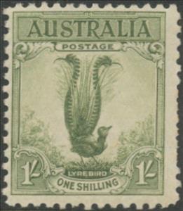Stamp, Superb Lyrebird (Menura novaehollandiae), Australia,  , Birds, Animals (Fauna)