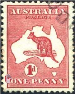 Kangaroo and map
