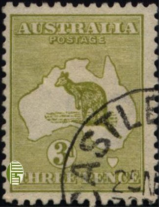 Kangaroo and map