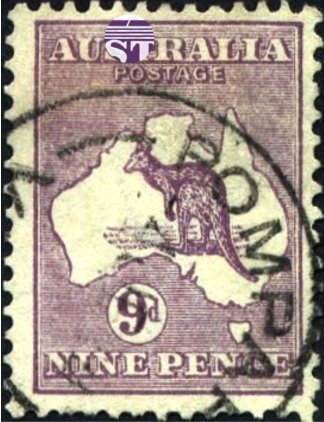 Kangaroo and map