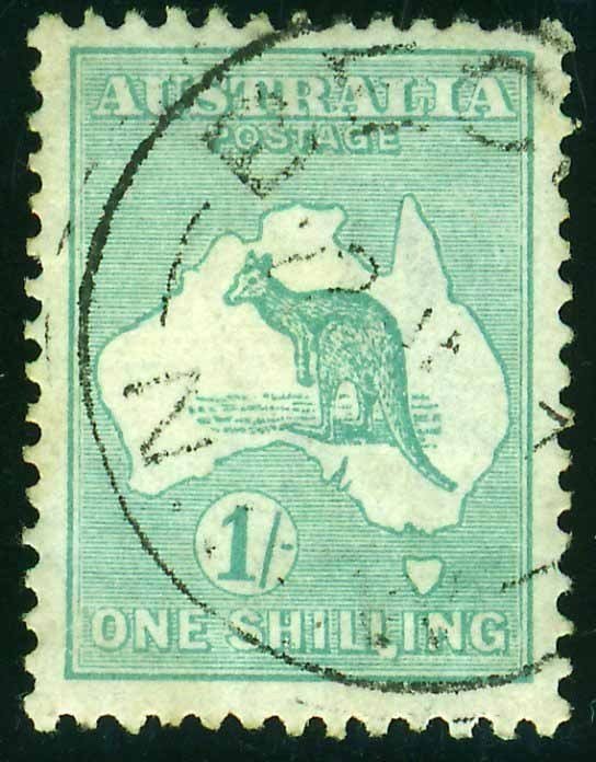 Kangaroo and map