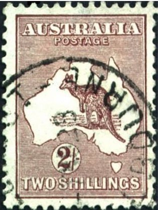 Kangaroo and map