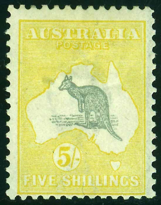 Kangaroo and map