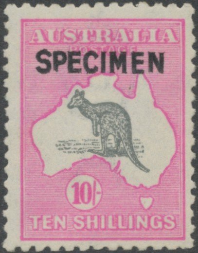 Kangaroo and map