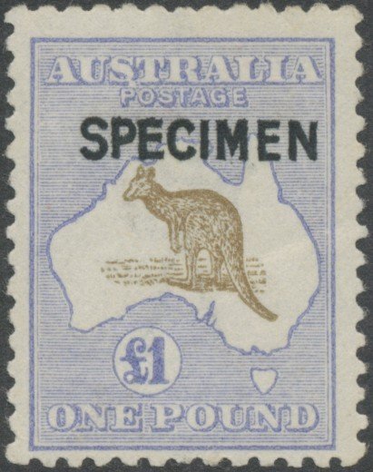 Kangaroo and map