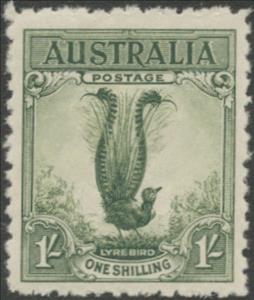 Stamp, Superb Lyrebird (Menura novaehollandiae), Australia,  , Birds, Animals (Fauna)