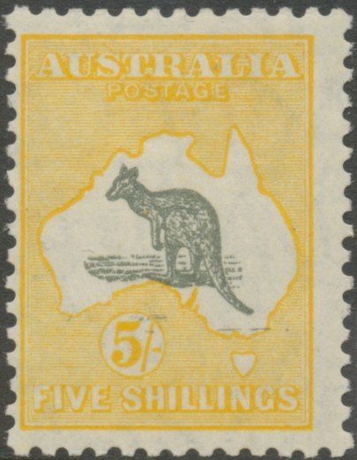 Kangaroo and map