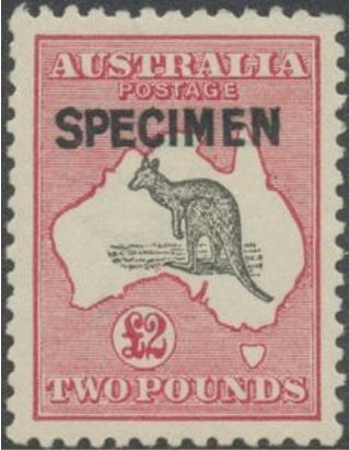 Kangaroo and map