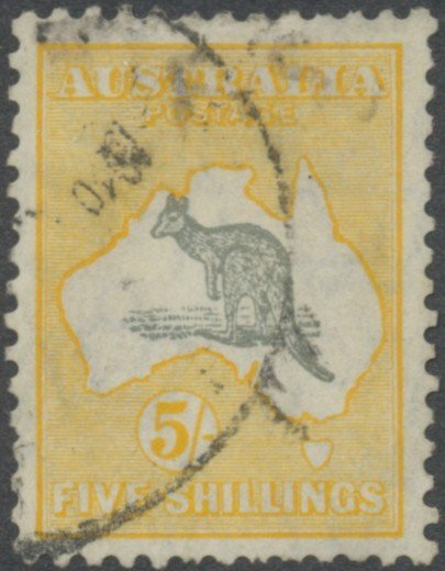 Kangaroo and map