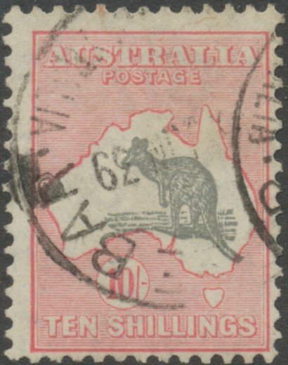 Kangaroo and map