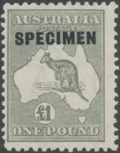 Kangaroo and map