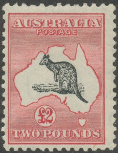 Kangaroo and map