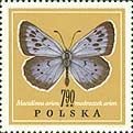 Stamp, Large Blue (Maculinea arion), Poland,  , Insects, Butterflies, Animals (Fauna)