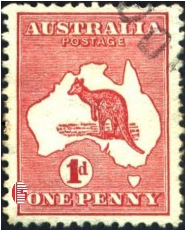 Kangaroo and map