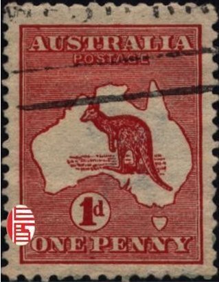 Kangaroo and map