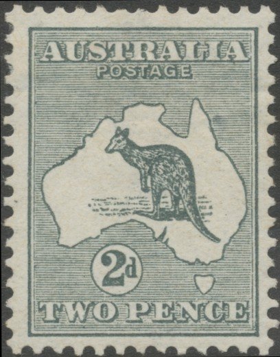 Kangaroo and map