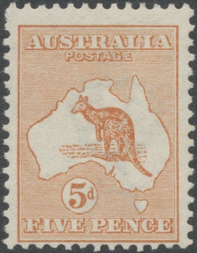 Kangaroo and map